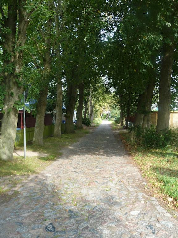 Willa Haus Sturmschwalbe Ummanz Zewnętrze zdjęcie